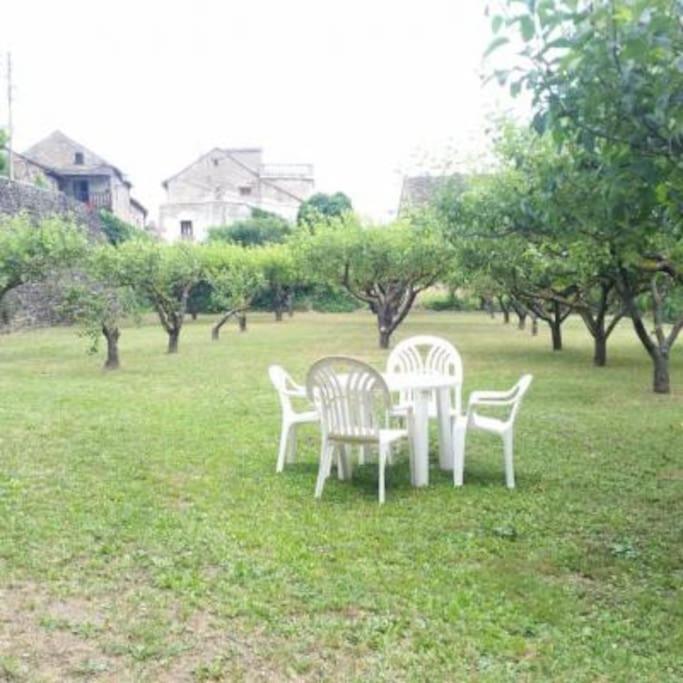 Casa Rural Barangua En El Pirineo Aragones Santa Cruz De La Seros Ngoại thất bức ảnh